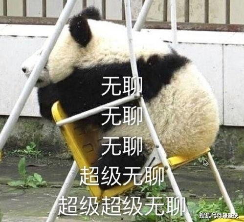 看你往哪跑表情包,“看你往哪跑”！表情包背后的趣味与情感共鸣