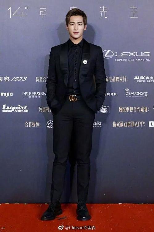 1米82的男明星,魅力与才华并存的璀璨之星